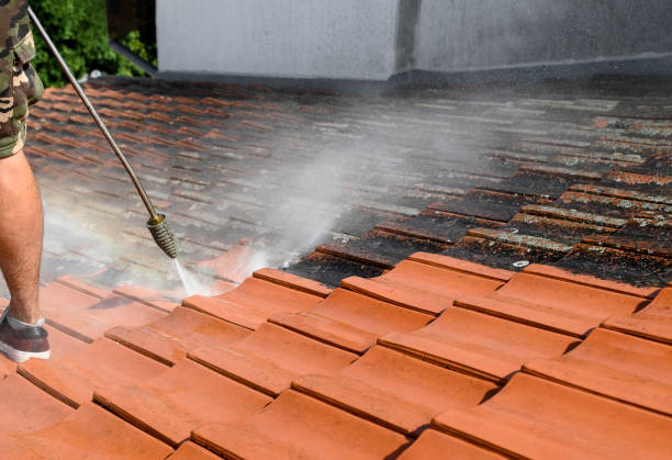 Best Affordable Power Washing  in Cayuga, IN