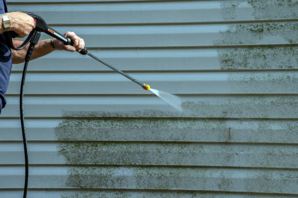 Best Garage Pressure Washing  in Cayuga, IN