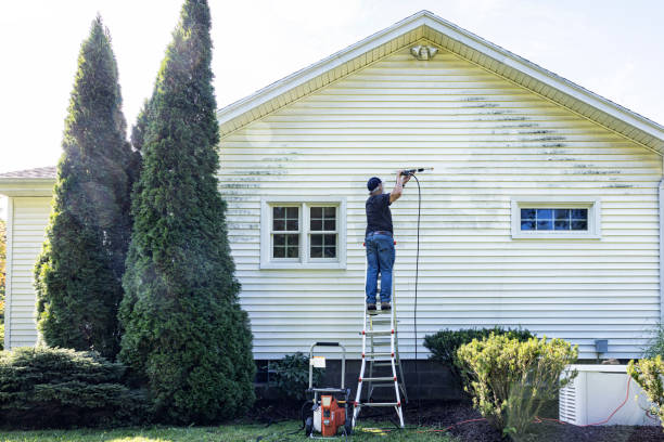 Best Deck Cleaning Services  in Cayuga, IN