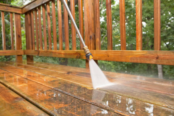 Best Exterior Home Cleaning  in Cayuga, IN